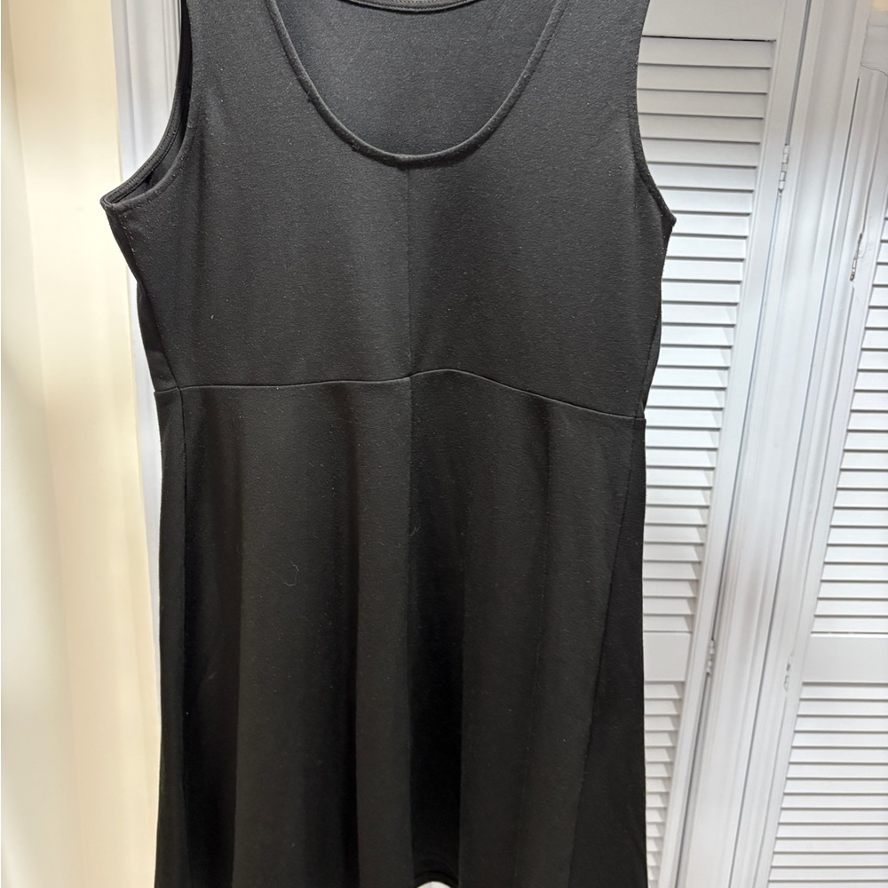 Black Sleeveless Skater Dress